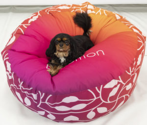 Custom branded bean bag with dog