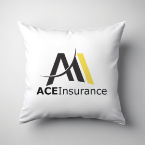 Promotional Cushions